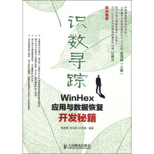 识数寻踪：WinHex应用与数据恢复开发秘籍
