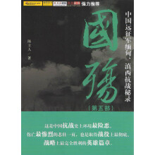 国殇（第5部）：中国远征军缅甸、滇西抗战秘录