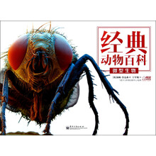 微型生物(全彩)