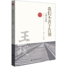 王琰小说集：我们不善于告别
