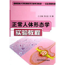 正常人体形态学实验教程