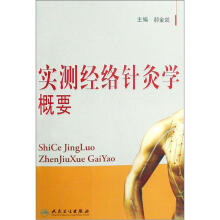 实测经络针灸学概要