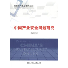 中国产业安全问题研究
