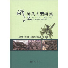 浙江洞头大型海藻