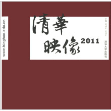 清华映像2011