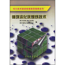 循环流化床燃烧技术
