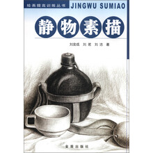 绘画提高训练丛书：静物素描
