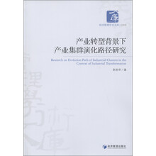 经济管理学术文库·经济类:产业转型背景下产业集群演化路径研究