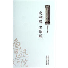 中国作家前沿丛书：白蝴蝶黑蝴蝶