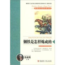 新课标名著名家导读系列：钢铁是怎样炼成的