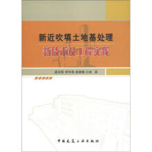 新近吹填土地基处理新技术及工程实践