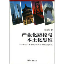 产业化路径与本土化思维：中国广播电视产业海外战略实例研究