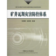 矿井瓦斯灾害防控体系