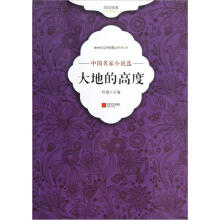新世纪文学突围丛书(第3辑)·中国名家小说选:大地的高度