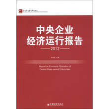中央企业经济运行报告（2012）