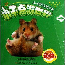 小不点游世界：动物卡（3-6岁认知卡片）