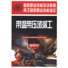 国家职业资格培训教程·带温带压堵漏工:基础知识
