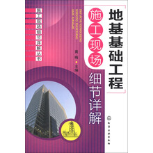 施工现场细节详解丛书：地基基础工程施工现场细节详解
