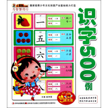 小笨熊动漫·与智慧同行：识字500例（附光盘1张）