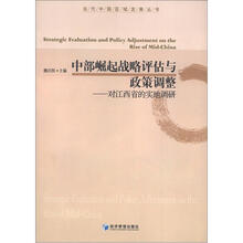 中部崛起战略评估与政策调整：对江西省的实地调研