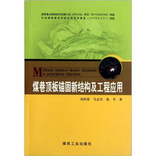 煤巷顶板锚固新结构及工程应用