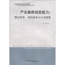 产业集群动态能力：理论框架、评价体系与公共政策