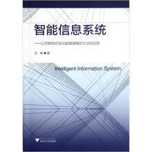 智能信息系统:以关联知识优化数据建模的方法和实践