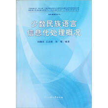 少数民族语言信息化处理概况/国家语言资源监测与研究中心少数民族语言分中心计算语言学系列丛书
