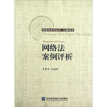网络法案例评析/民商法系列丛书