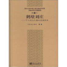 鹤壁刘庄:下七垣文化墓地发掘报告