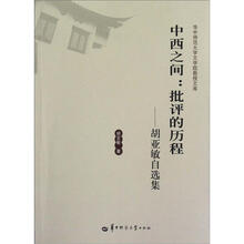 中西之间：批评的历程（胡亚敏自选集）/华中师范大学文学院教授文库