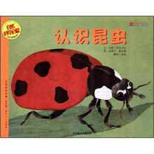 认识昆虫（适合3-6岁阅读）/自然科学启蒙