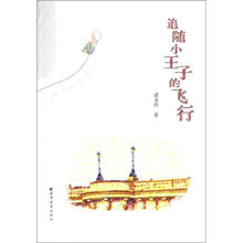 追随小王子的飞行