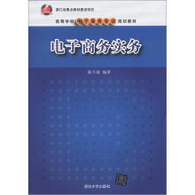 电子商务实务(高等学校电子商务专业规划教材)