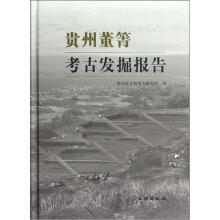 贵州董箐考古发掘报告