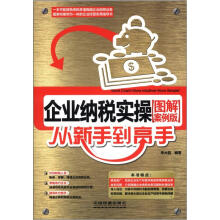 企业纳税实操从新手到高手（图解案例教程）