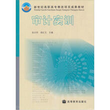 新世纪高职高专教改项目成果教材:审计实训