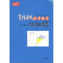 2013挑战中考数学压轴题（第6版）（附盘）