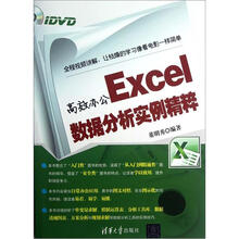 高效办公Excel数据分析实例精粹（配光盘）