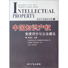中国知识产权制度评价与立法建议/知识产权研究书系