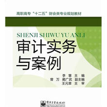 审计实务与案例