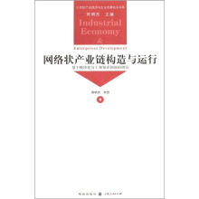 21世纪产业经济与企业发展前沿书系：网络状产业链构造与运行