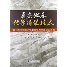 复杂地基化学灌浆技术（第十四次全国化学灌浆学术交流会论文集）
