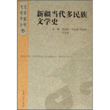 新疆当代多民族文学史：文学翻译卷文学评论卷