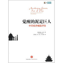 觉醒的泥足巨人