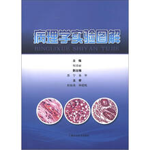 病理学实验图解