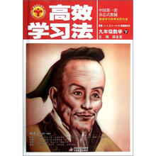 高效学习法：9年级数学（下）（人教实验版）