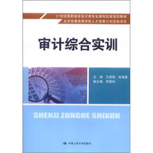 21世纪高职高专会计类专业课程改革规划教材：审计综合实训