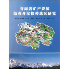 青海省矿产资源勘查开发接替选区研究