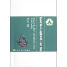 球毛壳菌几丁质酶基因chi46研究